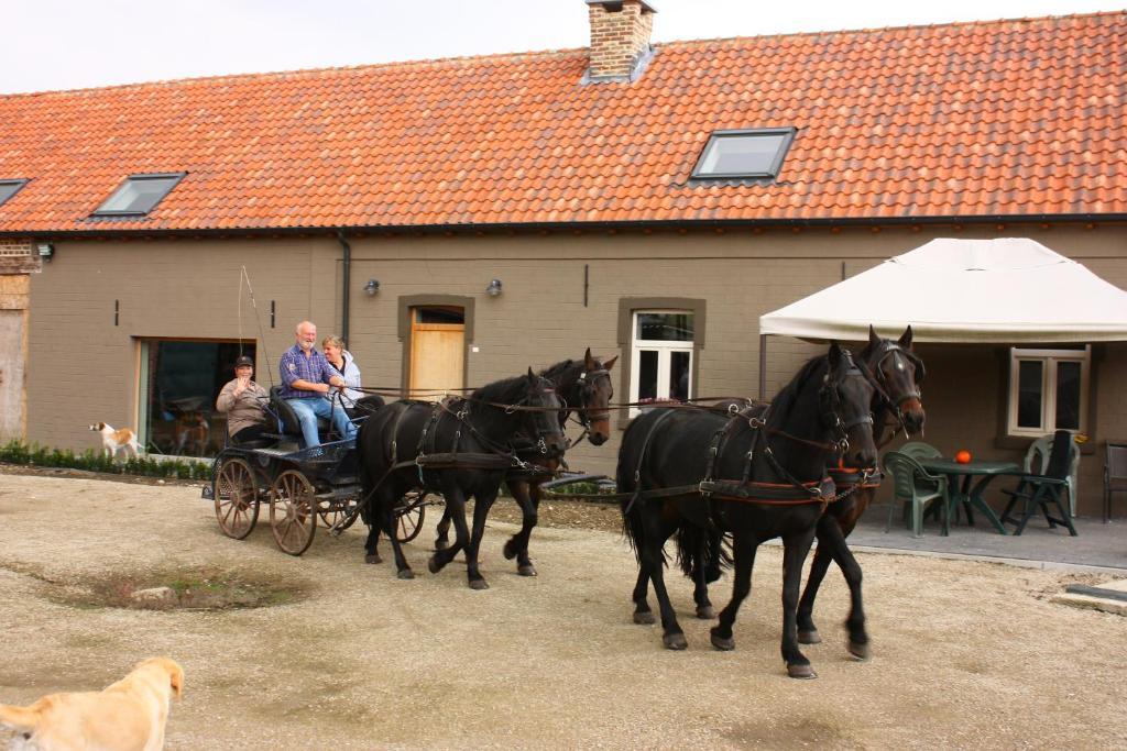 B&B Crijbohoeve Зютендал Экстерьер фото